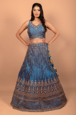 Rama Blue Crop Top with Diamond Work, Net Blouse and Embroidered Dupatta