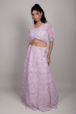 Pink Net Crop Top with Chikankari and Shisha Mirror Work Embroidery - Image 3