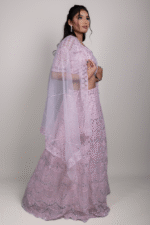 Pink Net Crop Top with Chikankari and Shisha Mirror Work Embroidery