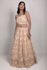 Golden Light Brown Net Crop Top with Stone, Sequin & Thread Embroidery, Blouse and Dupatta