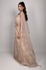 Golden Light Brown Net Crop Top with Stone, Sequin & Thread Embroidery, Blouse and Dupatta - Image 2