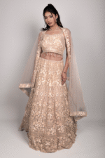 Golden Light Brown Net Crop Top with Stone, Sequin & Thread Embroidery, Blouse and Dupatta - Image 3