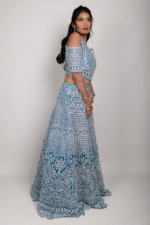 Rama Colour Net Crop Top with Diamond, Stones & Silver Thread Embroidery