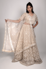 Golden Cream Net Crop Top Set with Mirror Work and Dupatta - Image 3