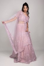 Blush Pink Net Crop Top with Diamond, Beads & Sequin Embroidery - Image 2