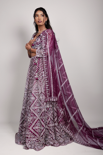 Maroon Net Crop Top with Mirror & Thread Embroidery, Blouse and Dupatta