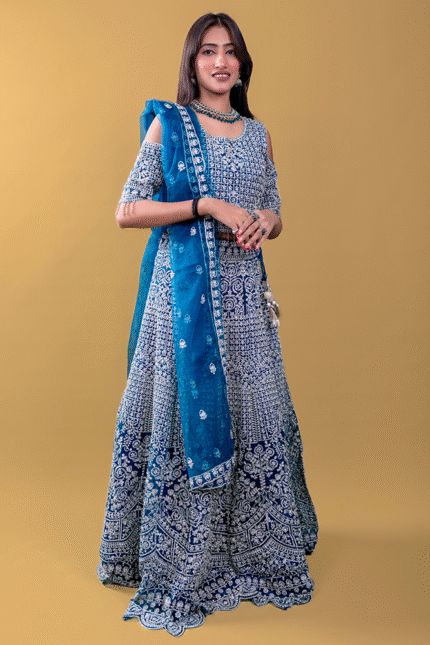 Peacock Blue Colour Net Crop Top with Diamond, Stones & Silver Thread Embroidery