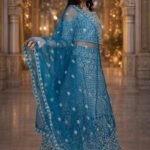 Rama Colour Net Crop Top with Diamond, Stones & Silver Thread Embroidery