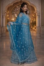 Rama Colour Net Crop Top with Diamond, Stones & Silver Thread Embroidery