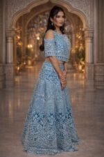Rama Colour Net Crop Top with Diamond, Stones & Silver Thread Embroidery - Image 2