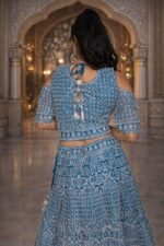 Rama Colour Net Crop Top with Diamond, Stones & Silver Thread Embroidery - Image 3