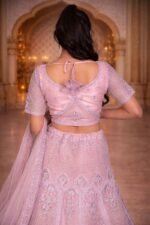Blush Pink Net Crop Top with Diamond, Beads & Sequin Embroidery - Image 2