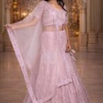 Blush Pink Net Crop Top with Diamond, Beads & Sequin Embroidery