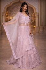 Blush Pink Net Crop Top with Diamond, Beads & Sequin Embroidery