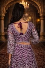 Maroon Net Crop Top with Mirror & Thread Embroidery, Blouse and Dupatta - Image 3