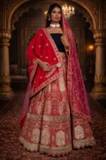 Rani Pink Bridal Velvet Lehenga with Zardozi and Diamond Work Embroidery