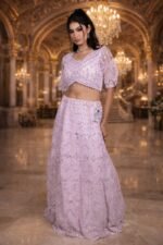 Pink Net Crop Top with Chikankari and Shisha Mirror Work Embroidery - Image 3