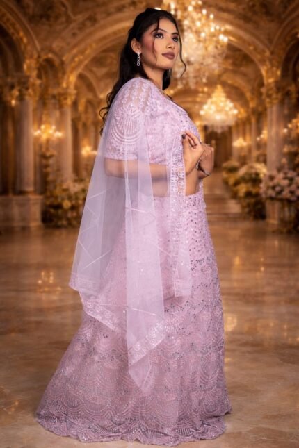 Pink Net Crop Top with Chikankari and Shisha Mirror Work Embroidery