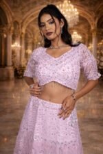 Pink Net Crop Top with Chikankari and Shisha Mirror Work Embroidery - Image 2